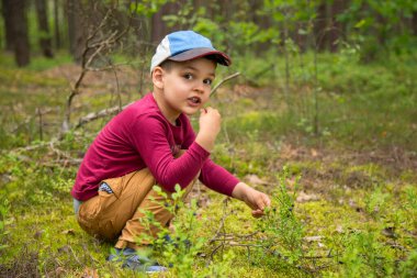 Ormanda yabanmersini yiyen bir çocuk..