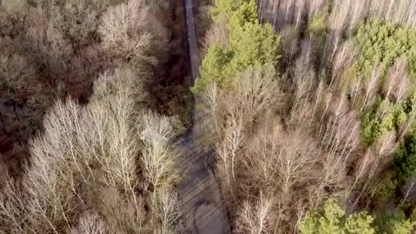 Luchtfoto Van Road Industriële Truck Rijden Een Onverharde Weg — Stockvideo