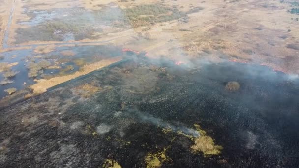 Herbe sèche brûlant dans le champ. Vue aérienne du feu de forêt fumant. Gros nuages de fumée et propagation du feu. Déforestation des forêts et de la jungle tropicale. Déforestation des prairies et changement climatique