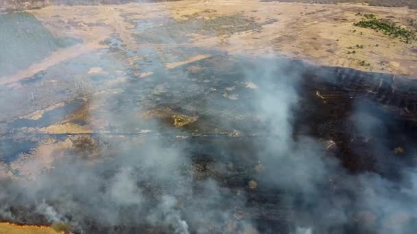 Herbe sèche brûlant dans le champ. Vue aérienne du feu de forêt fumant. Gros nuages de fumée et propagation du feu. Déforestation des forêts et de la jungle tropicale. Déforestation des prairies et changement climatique