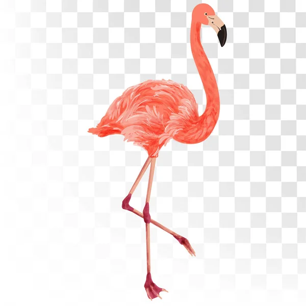 Flamingo Summer Element Artwork Sale Promotion Shopping Summer Promo Holidays — Stock Vector