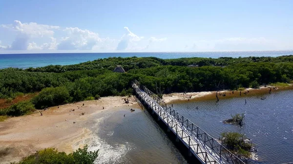 Punta Sur Természetvédelmi Terület Cozumel Szigeten Keretben Egy Hidat Látunk Stock Kép