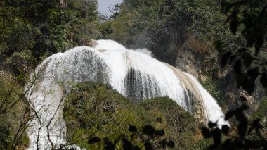 Ormandaki şelale. Doğanın, ormanın, nehrin güzel manzarası