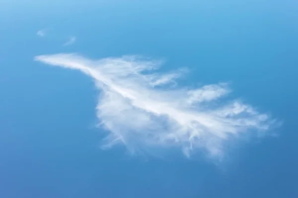 Cloud in the sky in the form of a bird feather