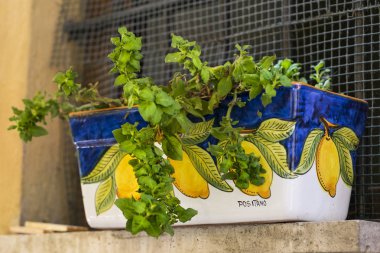 El yapımı güzel saksıyı yeşil çiçekli bir led yer