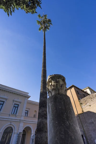 Pálmafa Róma ellen, Blue Sky. Rome, Olaszország. 2017. június — Stock Fotó