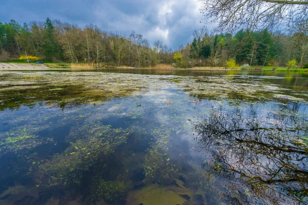 Small Lake Reflecting Sky in Grassy Forest — Stock Photo, Image