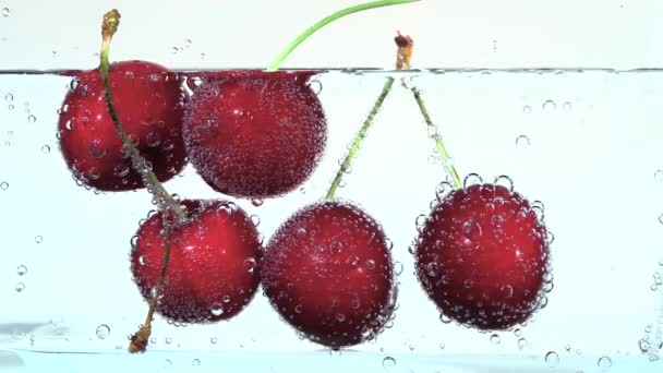 Вкусные Красные Спелые Вишни Плавают Чистой Воде Пузырьками — стоковое видео