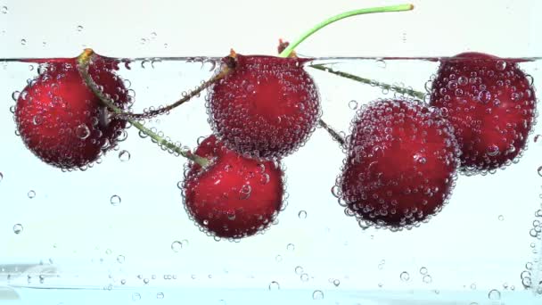 Köstliche Rote Reife Kirschen Schwimmen Klarem Wasser Mit Blasen — Stockvideo