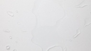 Şeffaf bir konteyner içine temiz su dökme