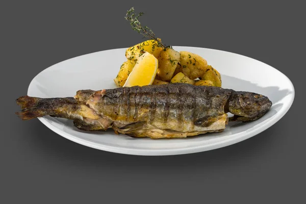 Fried trout served whole with roasted potatoes and herbs — Stock Photo, Image