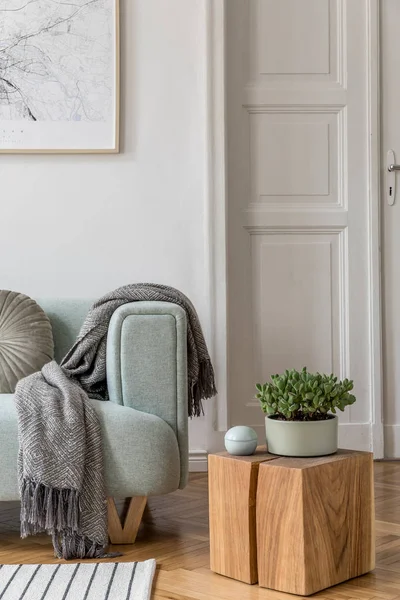 Modern Interieur Met Sofa Eigentijdse Accessoires Stijlvolle Woonkamer Design Home — Stockfoto