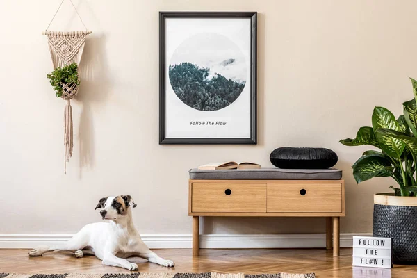 Altın kaplamalı modern iç tasarım poster çerçevesi ve yerde sevimli bir köpek. Şık bir oturma odası ve ev dekorasyonu. Ev dekorunun minimalist kavramı. 