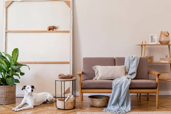 Modern Lägenhet Interiör Med Elegant Soffa Och Vas — Stockfoto
