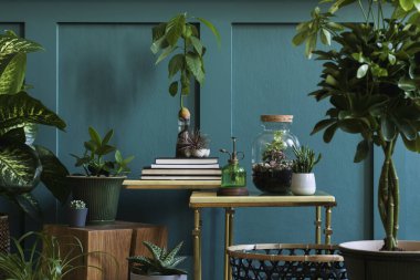 Kavanozlarda ve saksılarda güzel yeşil evler