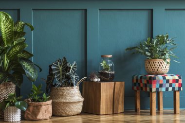 Kavanozlarda ve saksılarda güzel yeşil evler