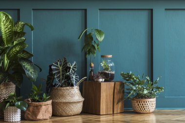 Kavanozlarda ve saksılarda güzel yeşil evler