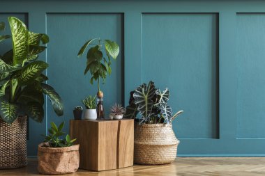 Saksıdaki güzel yeşil evler