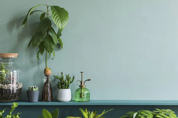 Стильный Рисунок Зеленые Растения Ретро Студии Дизайн Интерьера — стоковое фото