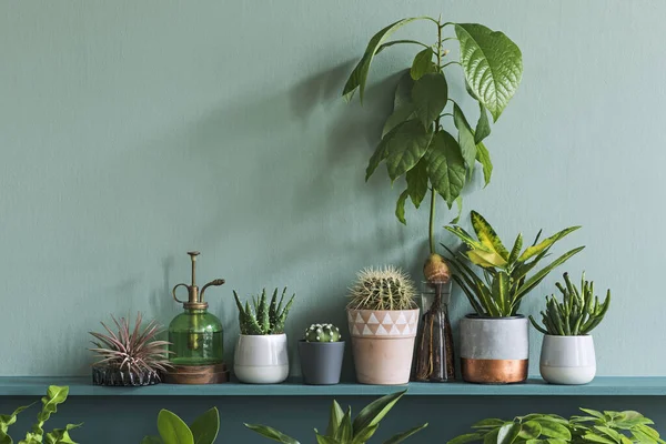 Dibujo Elegante Plantas Verdes Estudio Retro Diseño Interiores — Foto de Stock