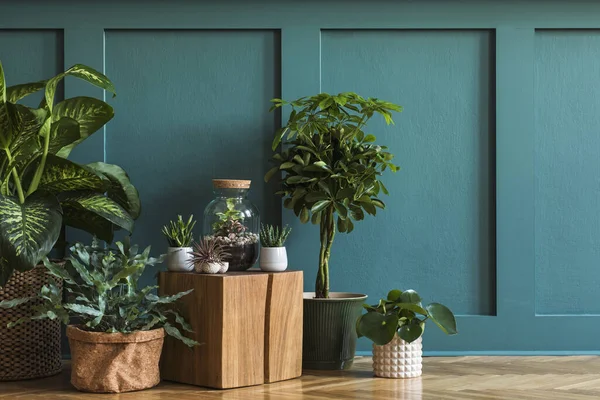 Kavanozlarda ve saksılarda güzel yeşil evler