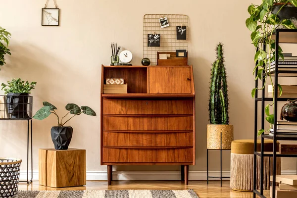 Stylish Workshop Cabinet Cozy Room Interior Design — Stock Photo, Image