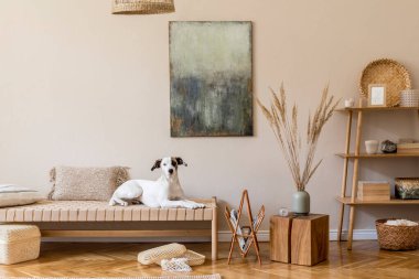 Modern composition of living room with furnitures, mock up paintings, rattan decoration, bamboo shelf with elegant personal accessories. Beautiful dog lying on the chaise longue. Home decor Template clipart