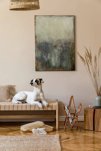 Modern Composition Living Room Furnitures Mock Paintings Rattan Decoration Elegant — Stock Photo, Image