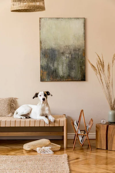 客厅的现代构图 配有家具 造型绘画 藤质装饰 典雅的个人配饰 美丽的狗躺在躺椅上 家居装饰模板 — 图库照片