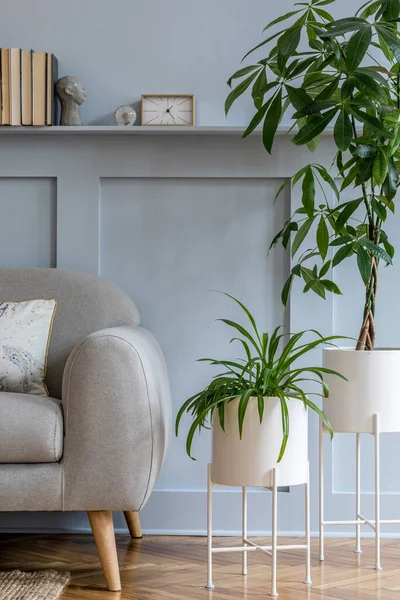 带有灰色沙发 带有架子的木板 雅致的个人饰物和设计现代家居装饰的植物的客厅里别致的丑闻 — 图库照片