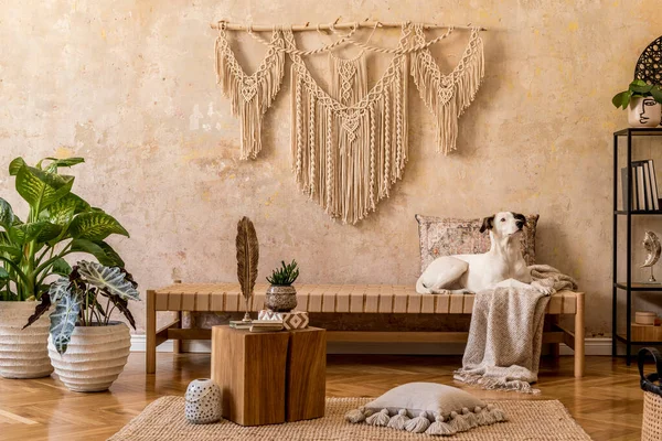 Innenarchitektur Des Stilvollen Orientalischen Wohnzimmers Mit Chaiselongue Makramee Regal Holzwürfel — Stockfoto