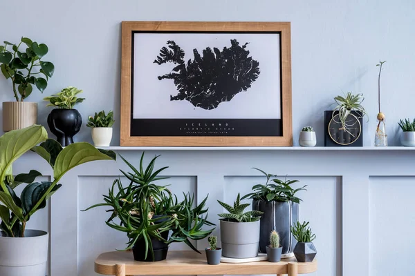 Stylish interior of living room with mock up poster map, a lot of beautiful plants, cacti , succulents and elegant personal accessories in modern home decor.
