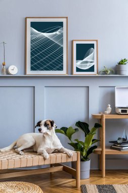 Modern oturma odasının tasarım ahşap konsolu, kitaplar, bitkiler, fotoğraf çerçeveleri, dekorasyon, şık ev dekorasyonu ve şezlongda uzanan güzel köpekli özel aksesuarlar..
