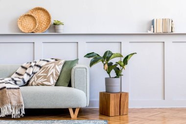 Tasarım kanepesi, kahve masası, bitki, kitaplar, dekorasyon, yastıklar, ekose, halı, ahşap paneller ve şık ev dekorasyonunda zarif persoanl aksesuarlar ile oturma odasının minimalist kompozisyonu.