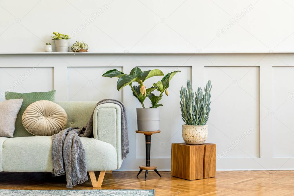 Minimalistic composition of living room with design sofa, plant, books, decoration, pillows, plaid, carpet, wood paneling and elegant persoanl accessories in stylish home decor. Copy space.