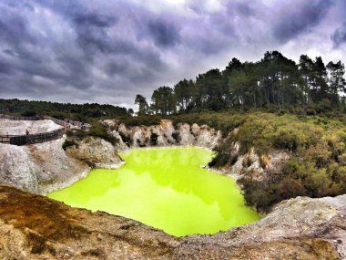 Termal kimyasal lake Rotorua Yeni Zelanda