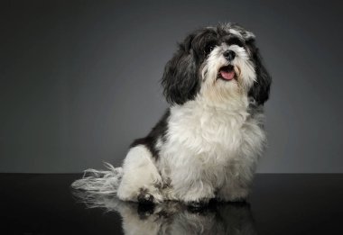 Harika bir havanın stüdyo çekimi.