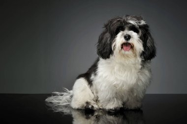 Harika bir havanın stüdyo çekimi.