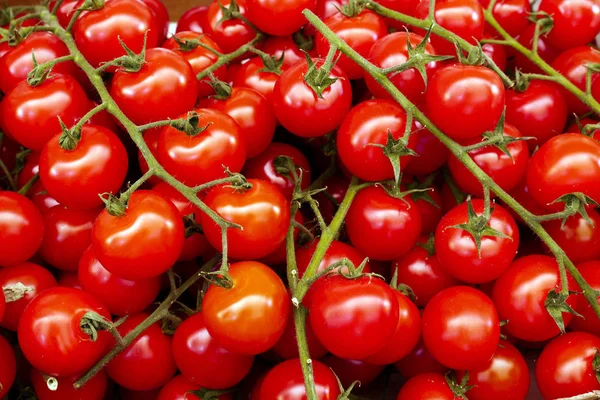 Close up of cherry tomatoes — Stock Photo, Image