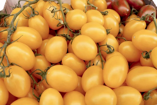 Pomidor cherry żółty — Zdjęcie stockowe