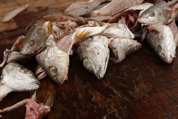 Limpieza de pescado fresco —  Fotos de Stock