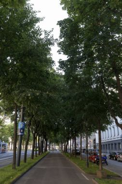 sokak Viyana, Avusturya