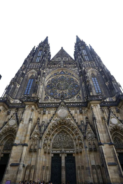 Cathédrale St Vitus, Prague — Photo