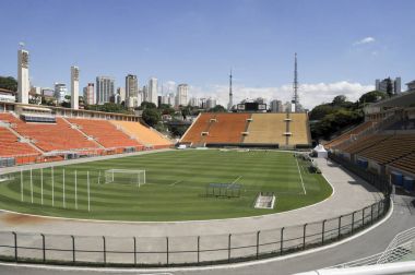 Pacaembu Stadium soccer field and stands clipart