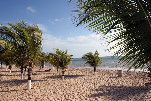 Playa en Brasil — Foto de Stock