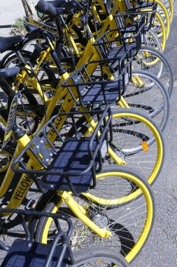 Sarı bisikletler