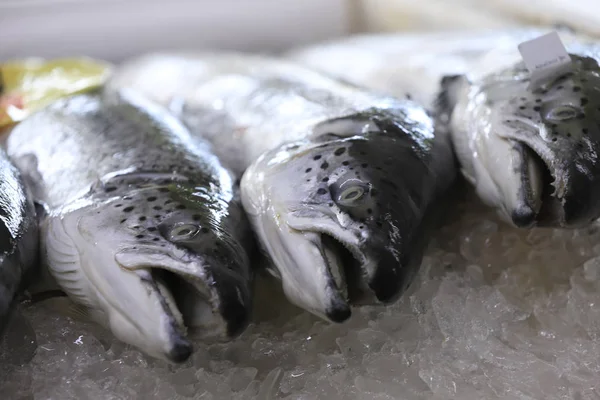 fresh raw salmon on ice at fish market (selective focus)