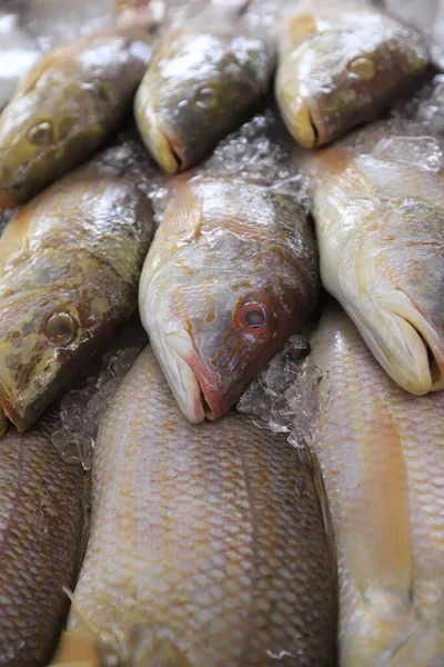 屋外市場で売られている魚は — ストック写真