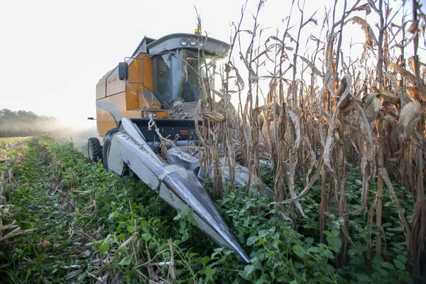 ブラジルの田舎でトウモロコシの収穫をする機械 — ストック写真