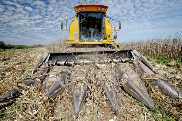 Maschine Macht Die Maisernte Auf Dem Land Brasilien — Stockfoto